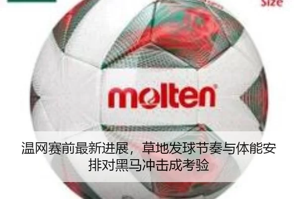 温网赛前最新进展，草地发球节奏与体能安排对黑马冲击成考验